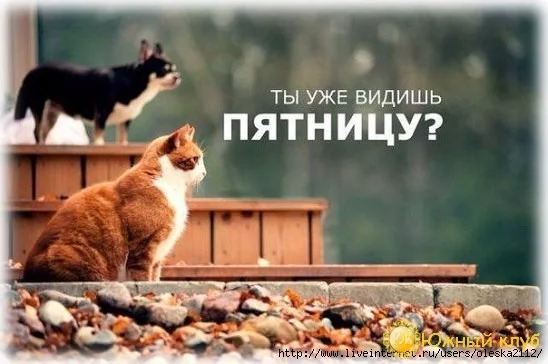 Доброе утро четверга.webp