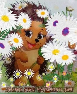 dobroe-utro-chudesnogo-dnya.webp
