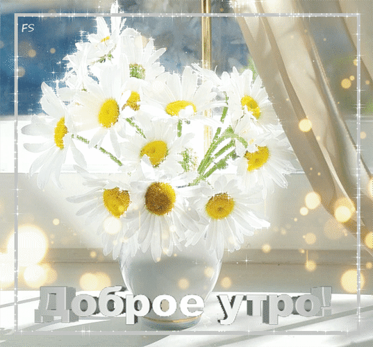 dobroe-utro-cvetok (1).gif