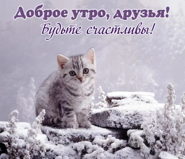 dobroe-utro-druzyam-kartinka.webp