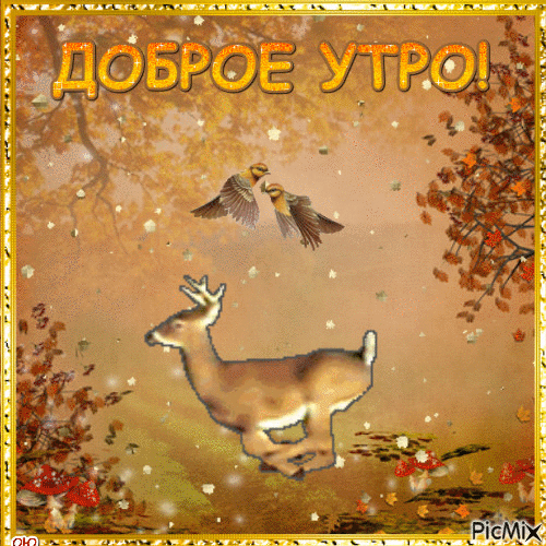 dobroe-utro.gif
