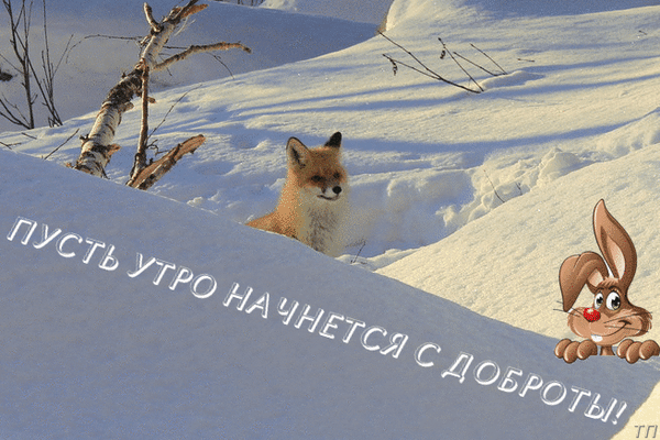 dobroe-utro.gif