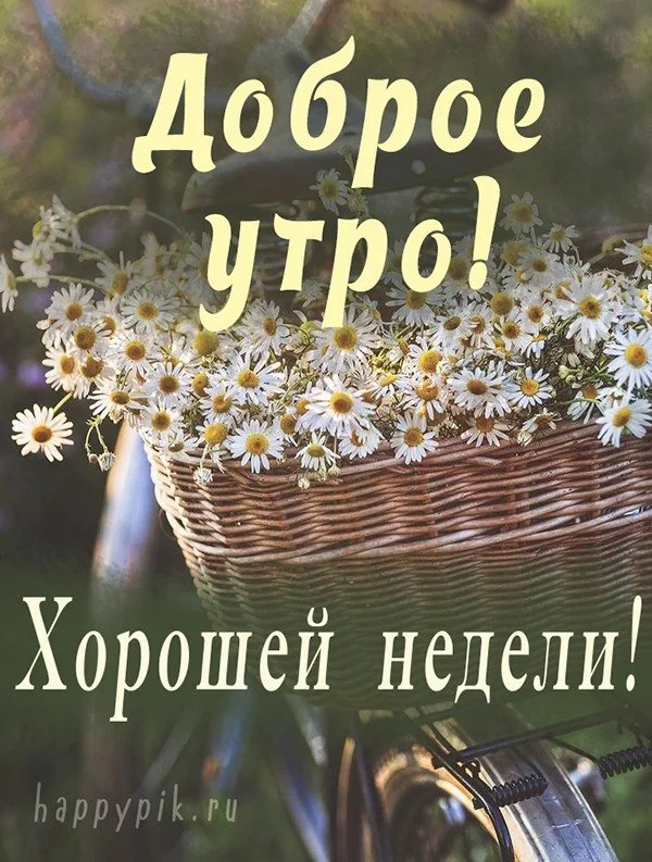 dobroe-utro-horoshej-nedeli18.webp