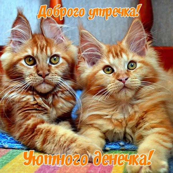 Dobroe-utro-i-horoshego-dnya_1.webp