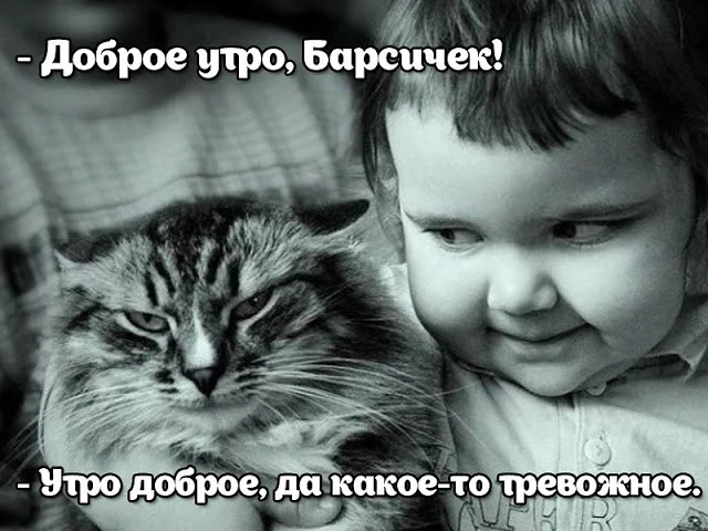 доброе утро картинки-30.webp