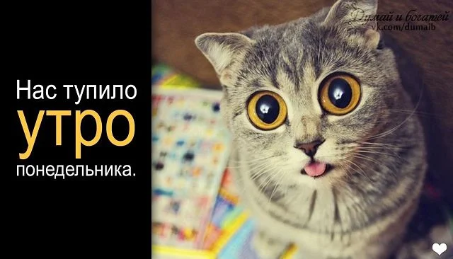 доброе утро картинки-59.webp