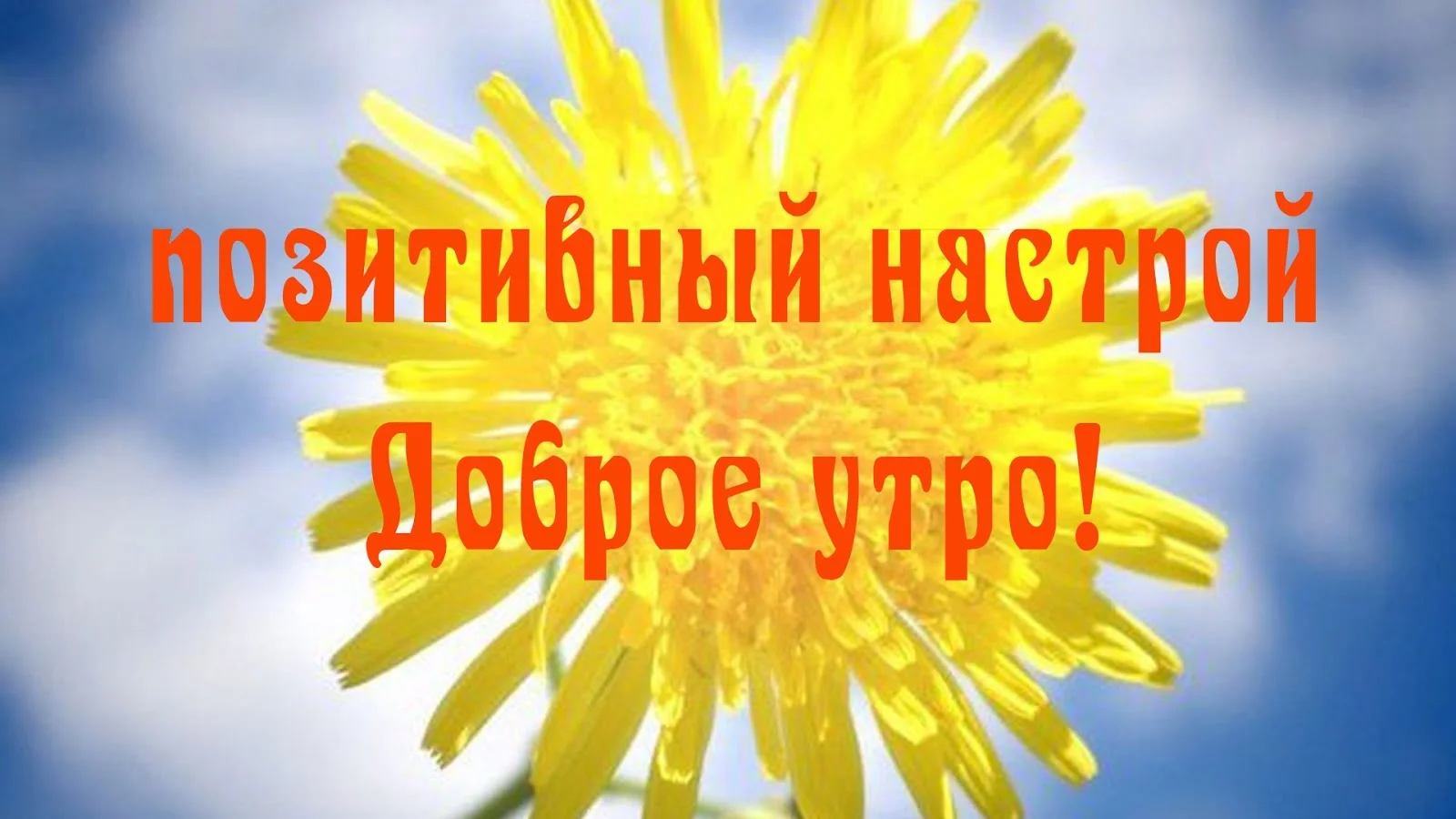 доброе утро картинки-85.webp