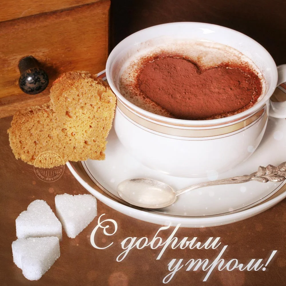 dobroe-utro-kartinki-krasivye-dobro-cover-532.webp