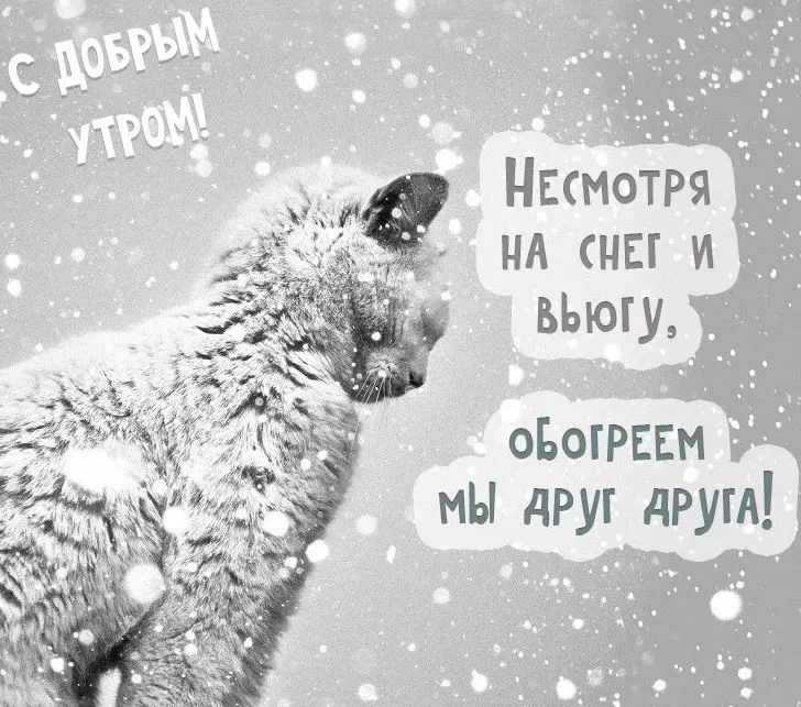 dobroe-utro-kartinki-neobychnye-zimnie-3.webp