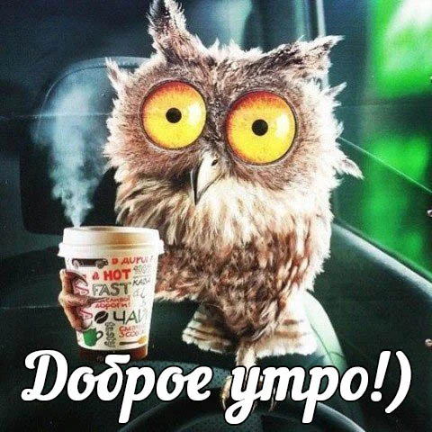 Доброе-утро-картинки-прикольные-смешные-с-надписью-6.webp