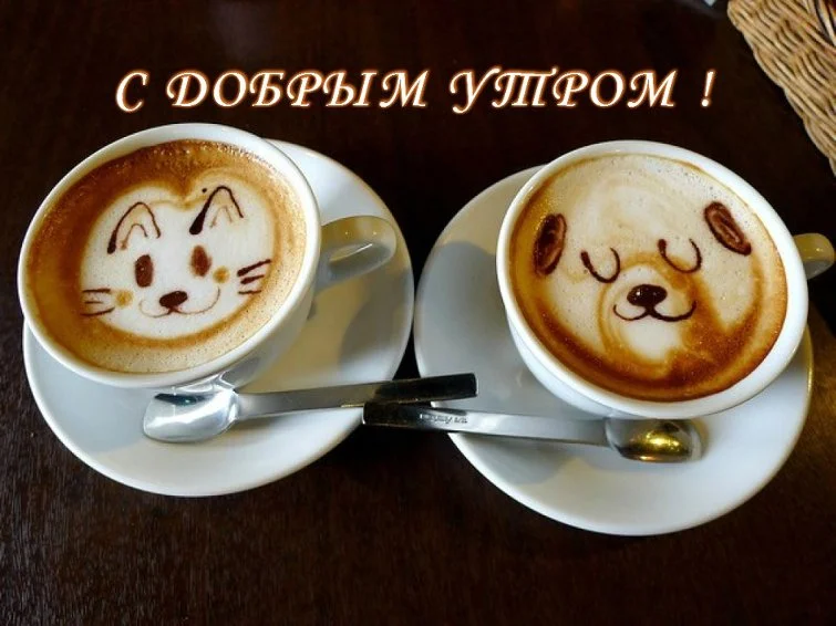 Доброе-утро-картинки-прикольные-смешные-с-надписью-веселые-4.webp