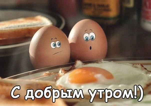 Dobroe-utro-kartinki-smeshnie-2.webp