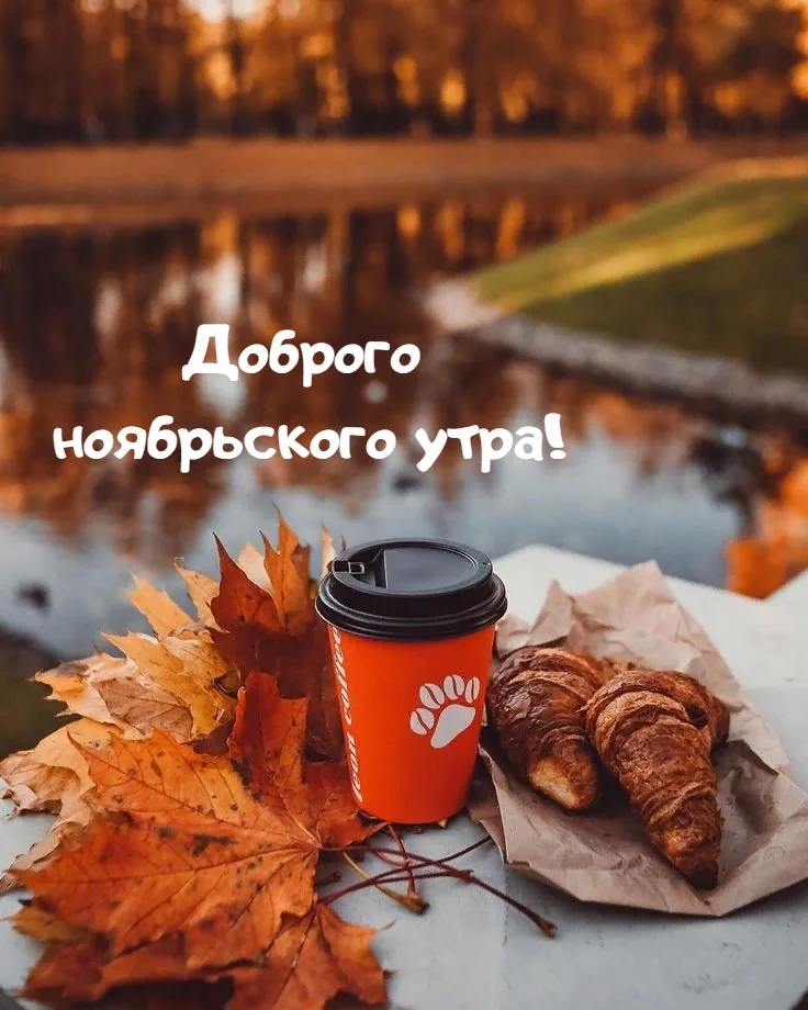 dobroe-utro-kartinki_ru_11100.webp