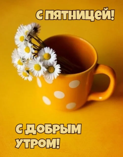 dobroe-utro-kartinki_ru_3428.webp