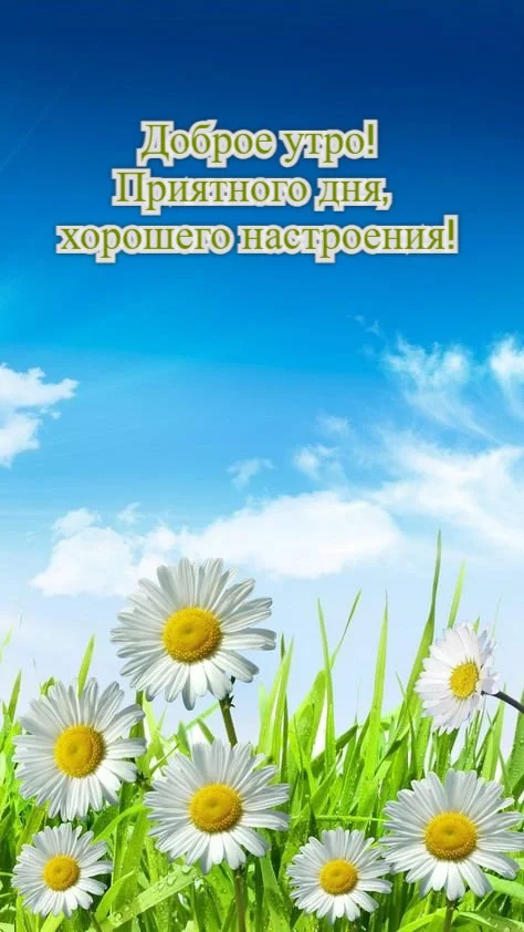 dobroe-utro-kartinki_ru_3806.webp