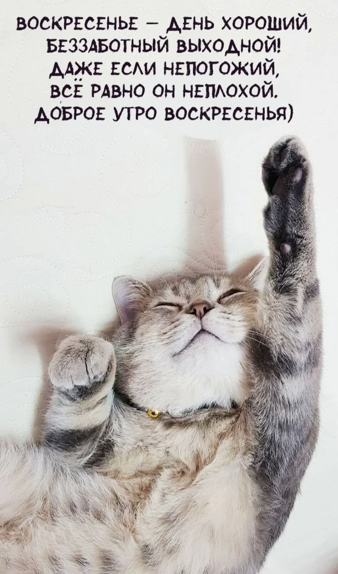 dobroe-utro-kartinki_ru_3986.webp