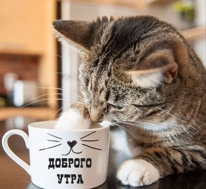 dobroe-utro-kartinki_ru_6256.webp