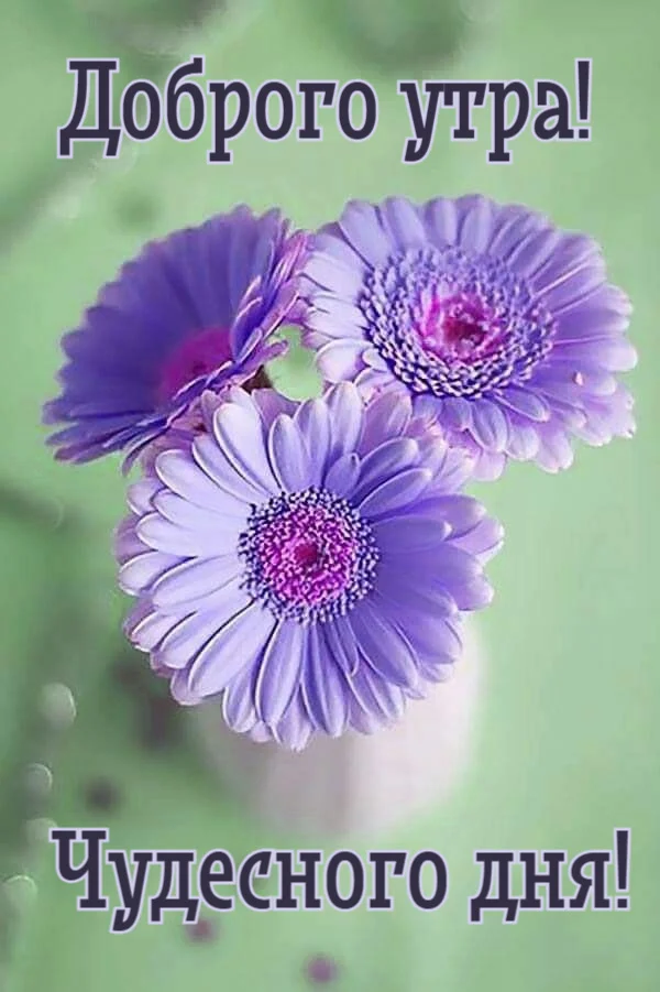 dobroe-utro-kartinki_ru_811.webp
