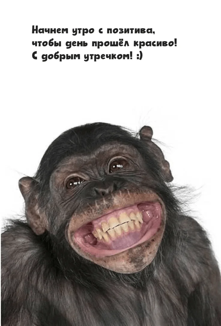 dobroe-utro-kartinki_ru_97.webp