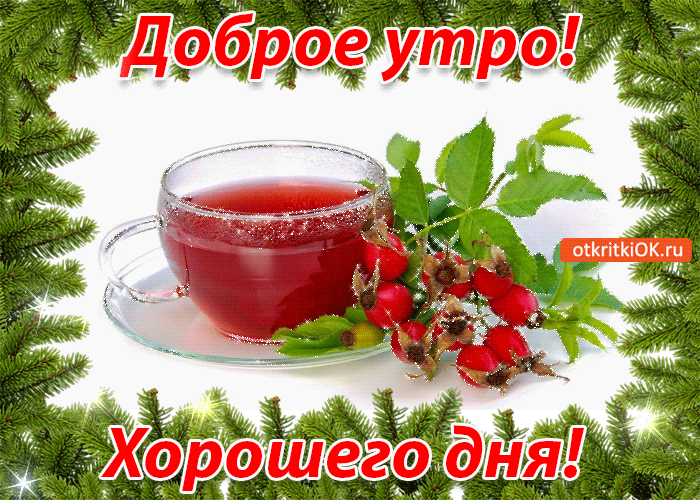 dobroe-utro-khoroshego-dnya-3334090.gif