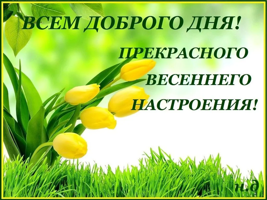 dobroe-utro-krasivye-vesennie-kartinki-cover-554.webp