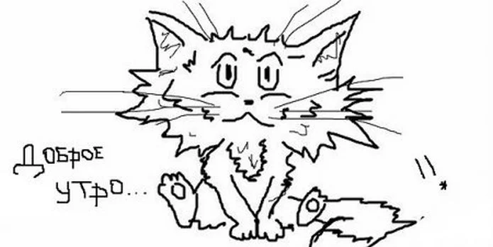 Доброе-утро.-Лохматый-кот.webp