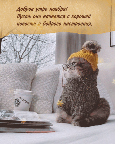 dobroe-utro-noyabrya.gif