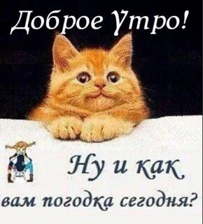 dobroe-utro-nu-i-kak-vam-pogodka-segodnya.webp
