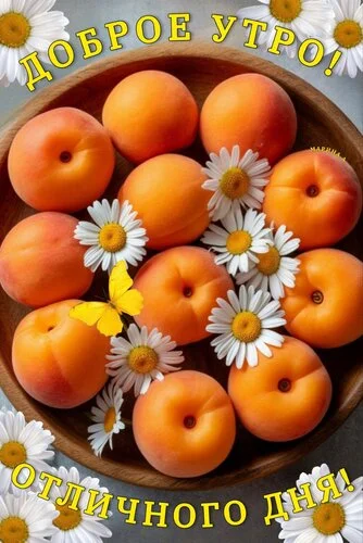 dobroe-utro-otlichnogo-dnya.webp