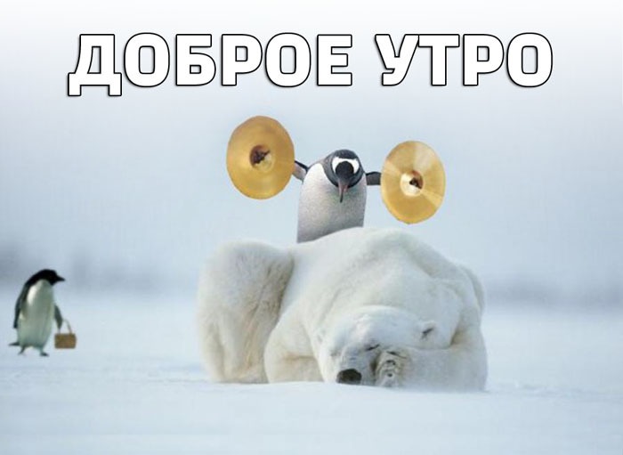 доброе-утро-подъем-Доброго-утра-песочница-996189.jpeg