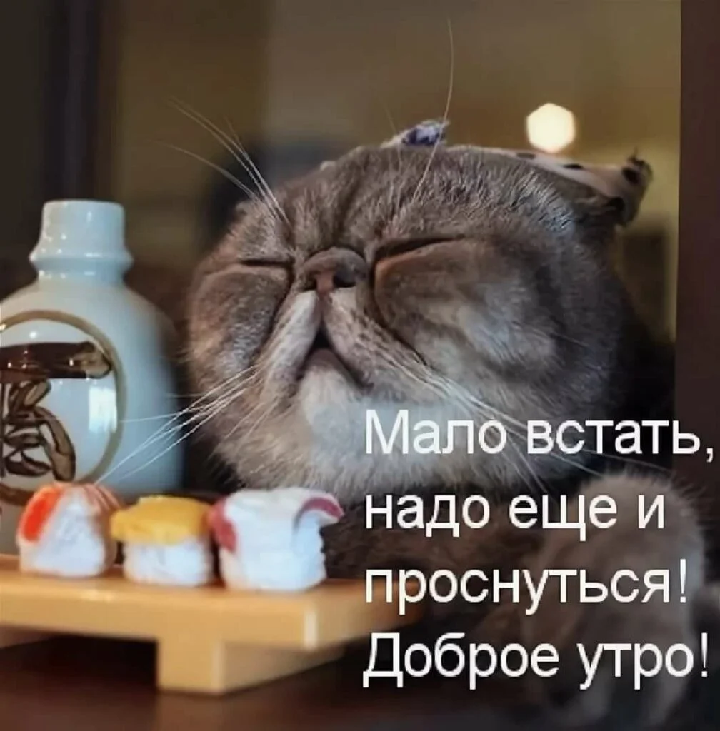 dobroe-utro-prikolnye-11-1008x1024.jpg