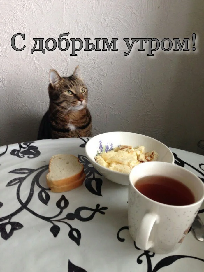 dobroe-utro-prikolnye-2.webp