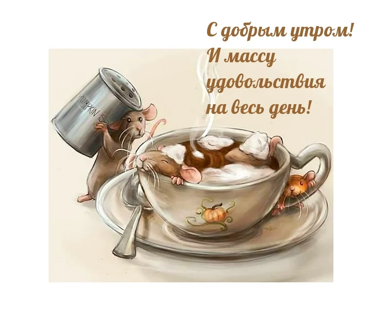 dobroe-utro-prikolnye-23.webp