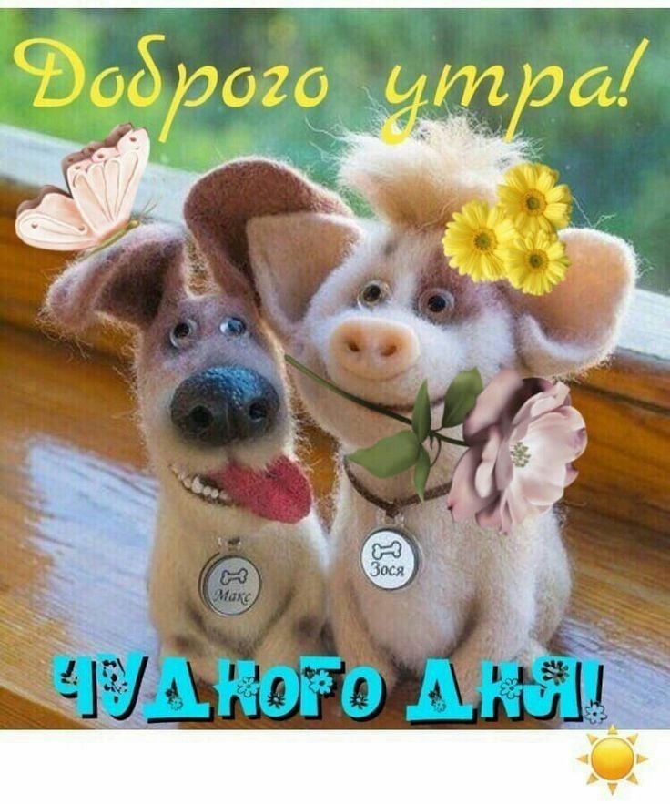 dobroe-utro-prikolnye-5.jpg