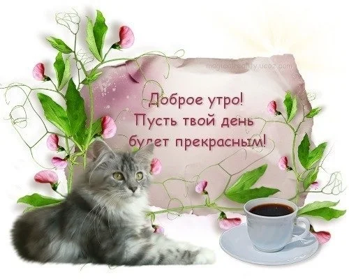 dobroe-utro-pust-tvoj-den-budet-prekrasnym.webp