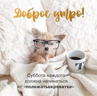 dobroe-utro-subbota-kazhdogo-dolzhna-nachinatsya-s-polezhat-v-krovatke.jpg