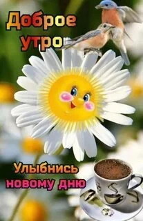 dobroe-utro-ulybnis-novomu-dnyu.webp