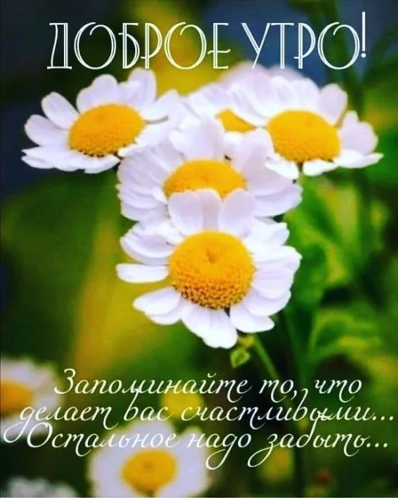 dobroe-utro-voskresene-kartinki-12.jpeg.jpg