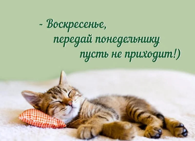 dobroe-utro-voskresene-kartinki-humoraf-ru-33.webp