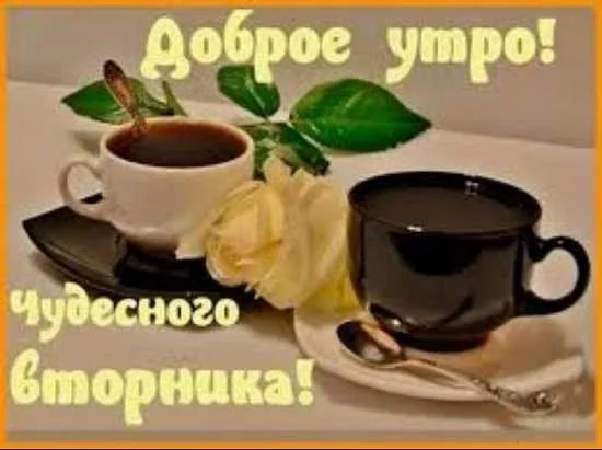 доброе-утро-вторник-картинки-прикольные-б.jpg