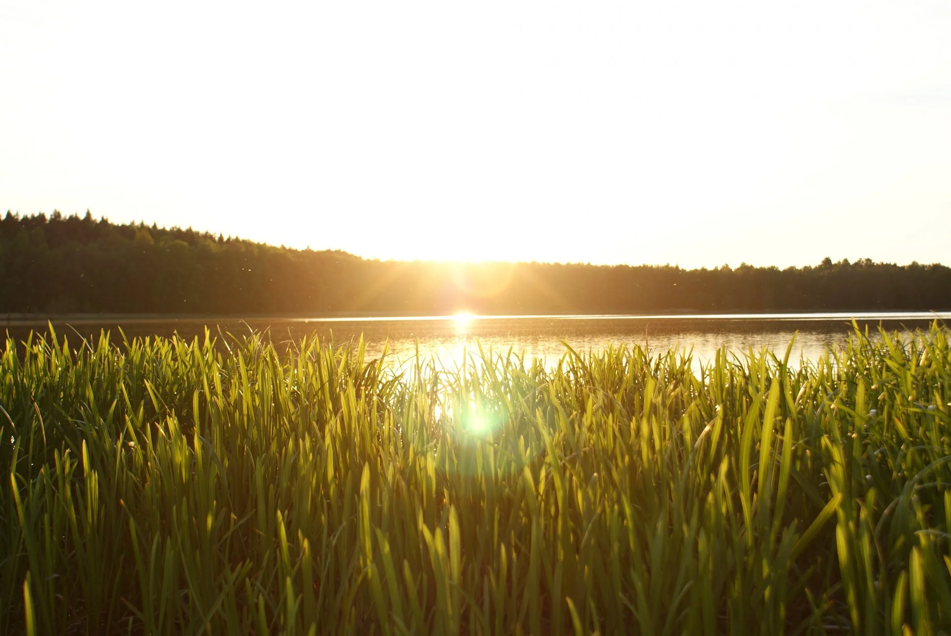 доброе утро.webp