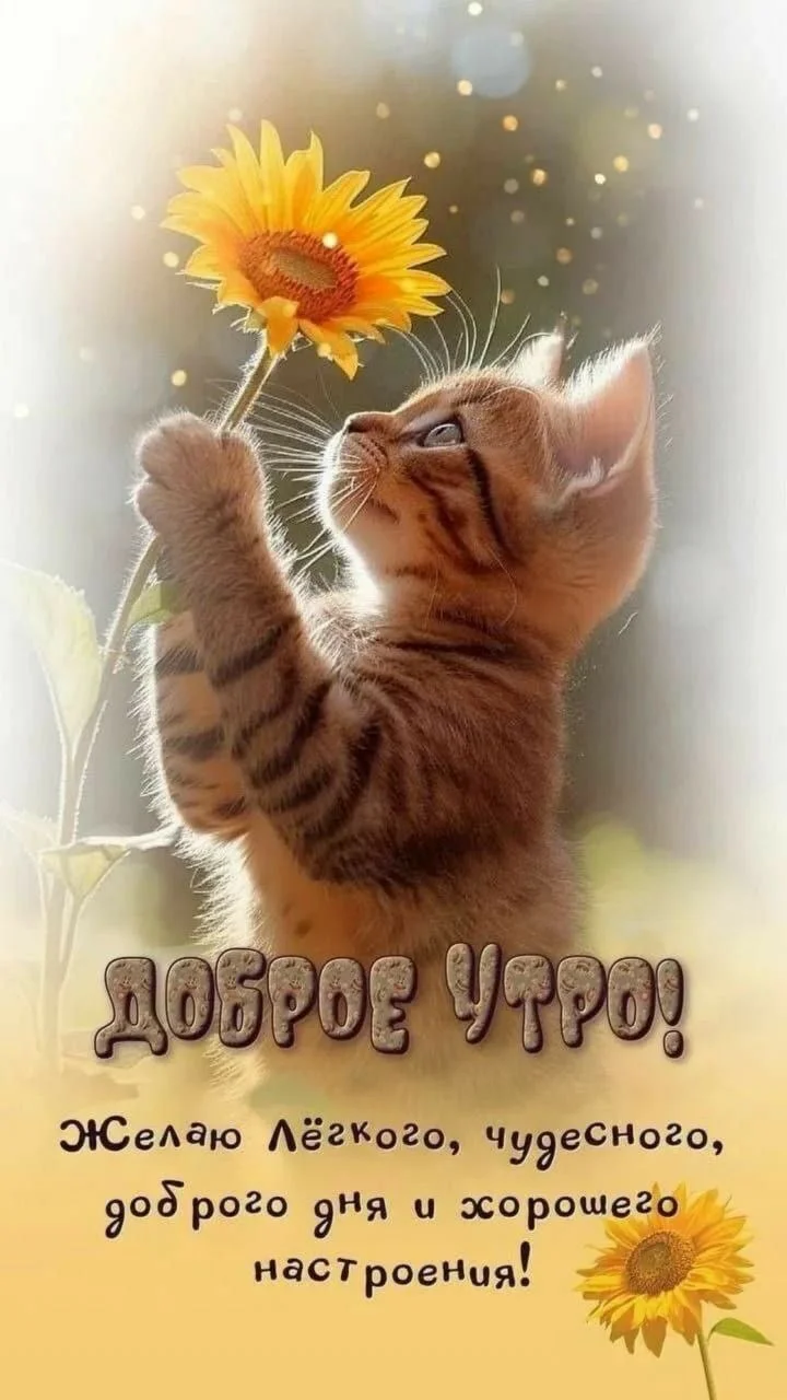 Доброе утро.webp