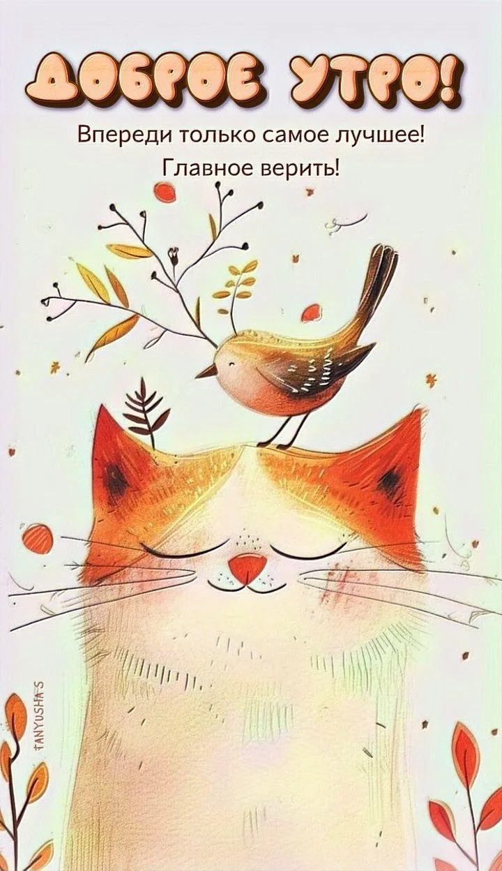 ДОБРОЕ УТРО!☀️.webp