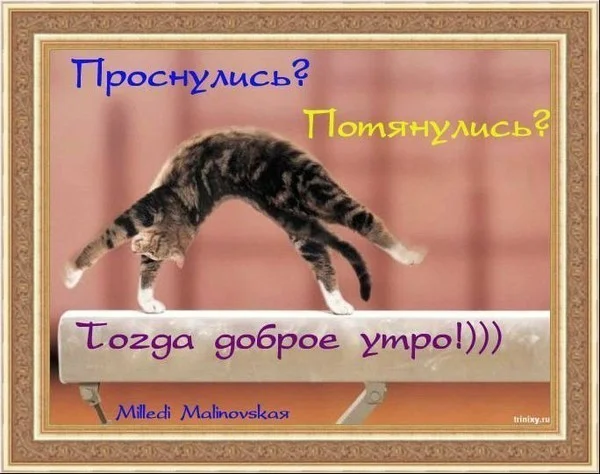 доброе утро.webp