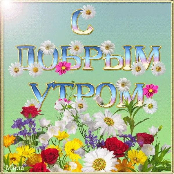 Доброе утро.webp