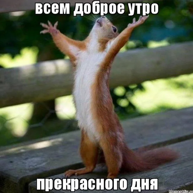 доброе утро.webp