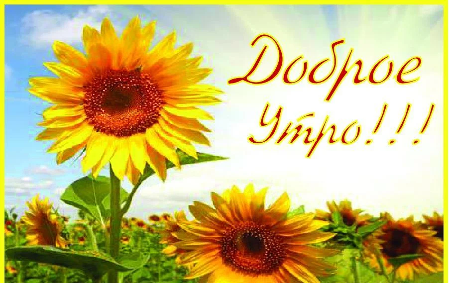 доброе утро.webp