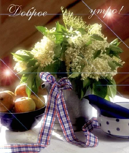 доброе утро.webp