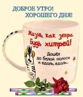 dobroe-utro-xoroshego-dnya-zhizn-kak-zebra-bud-xitrej-dosh-l-do-beloj-polosy-i-vdol-vdol.webp