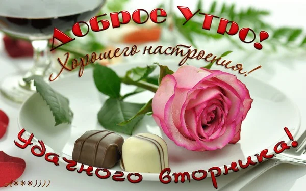 dobroe-utro-xoroshego-nastroeniya-udachnogo-vtornika.webp